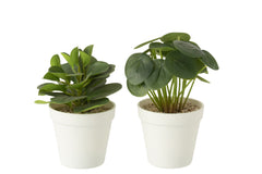 J-LINE KUNSTPLANTEN IN POT GROEN SET VAN 2 - Tuincentrum Lopik