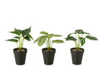 J-LINE KUNSTPLANTEN IN POT GROEN SET VAN 3 - Tuincentrum Lopik