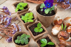 TURFPOTJES ROND 8 CM