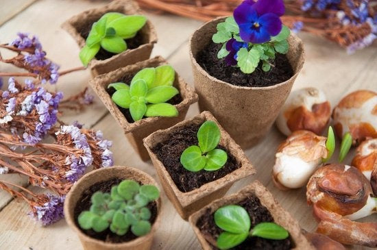 TURFPOTJES ROND 8 CM