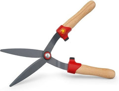 HS-BW BUXUS HEGGENSCHAAR