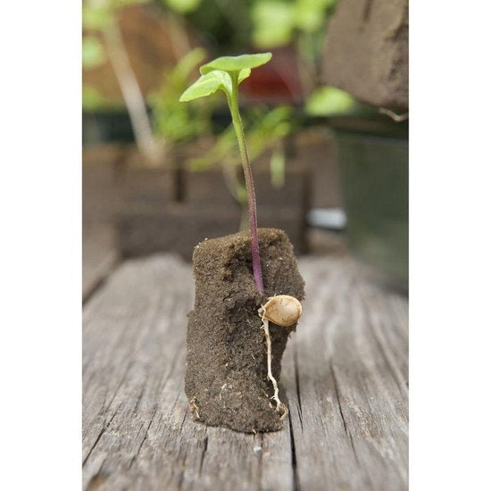  Kweekbak miniset 7x11 vakken