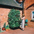 MINI KWEEKBAK MET KLIMFRAME