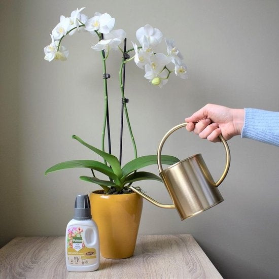  BIO ORCHIDEE VOEDING 250 ML