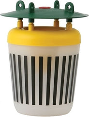 EPHESTIA BLACK STRIPE MOTTENVAL