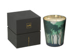 Scented Candle Noa Forest Soya Green/Gold Colored Medium-68H - Tuincentrum Lopik