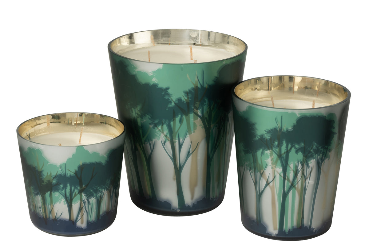 Scented Candle Noa Forest Soya Green/Gold Colored Large-95H - Tuincentrum Lopik