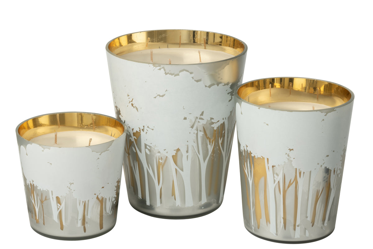 Scented Candle Noa Forest Soya White/Gold Colored Large-95H - Tuincentrum Lopik