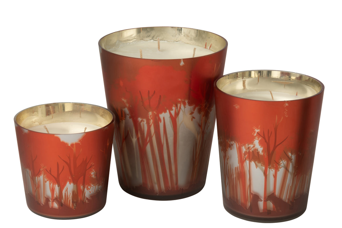 Scented Candle Noa Forest Soya Red/Gold Colored Large-95H - Tuincentrum Lopik