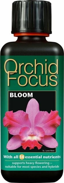 ORCHID FOCUS BLOOM  300ML