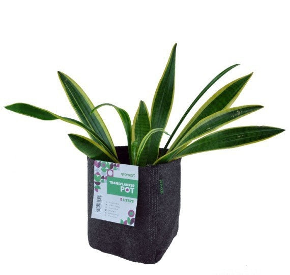 TRANSPLANTER POT 25 LITER 32X28X28CM