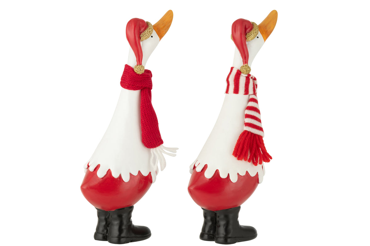 Duck Winter Polyresin White/Red Large Assortment Of 2 - Tuincentrum Lopik