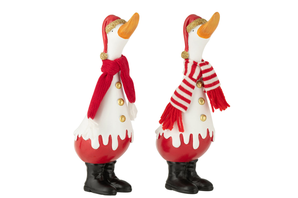 Duck Winter Polyresin White/Red Large Assortment Of 2 - Tuincentrum Lopik