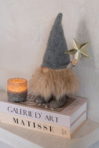 Santa Claus Star+Tree Metal Multicolored Medium Assortment Of 2 - Tuincentrum Lopik