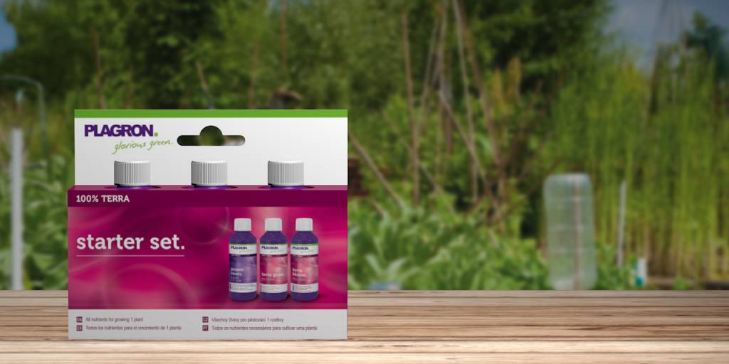 STARTER SET 100% TERRA