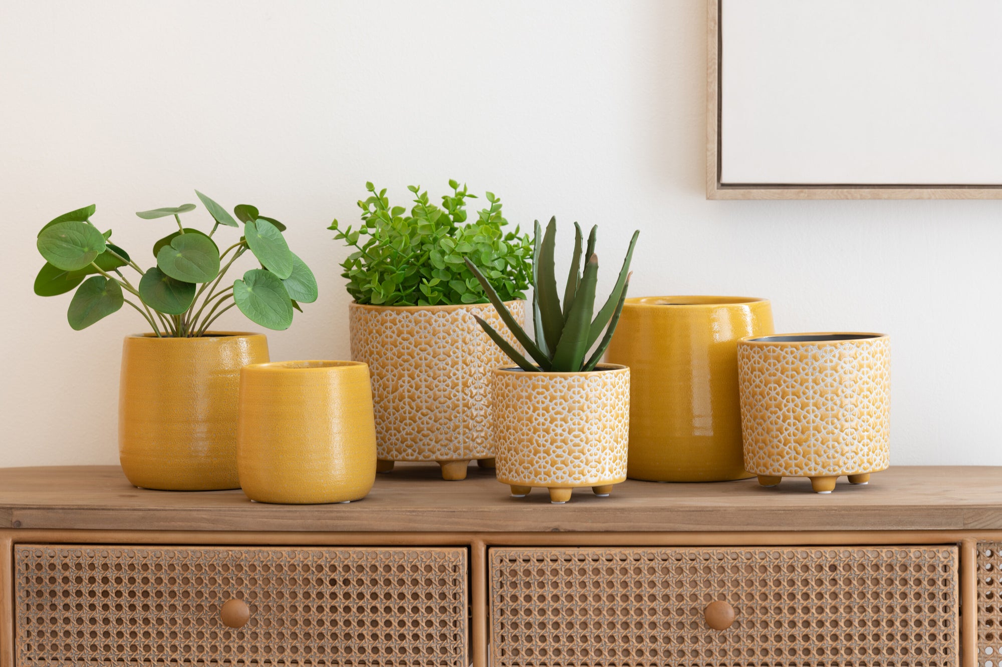 J-LINE KUNSTPLANTEN CRASSULA/ALOE VERA/LOTUS POT GROEN SET 3 - Tuincentrum Lopik