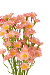Gypsophila Fabric White/Light Pink Assortment Of 2 - Tuincentrum Lopik