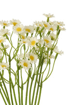 Gypsophila Fabric White/Light Pink Assortment Of 2 - Tuincentrum Lopik