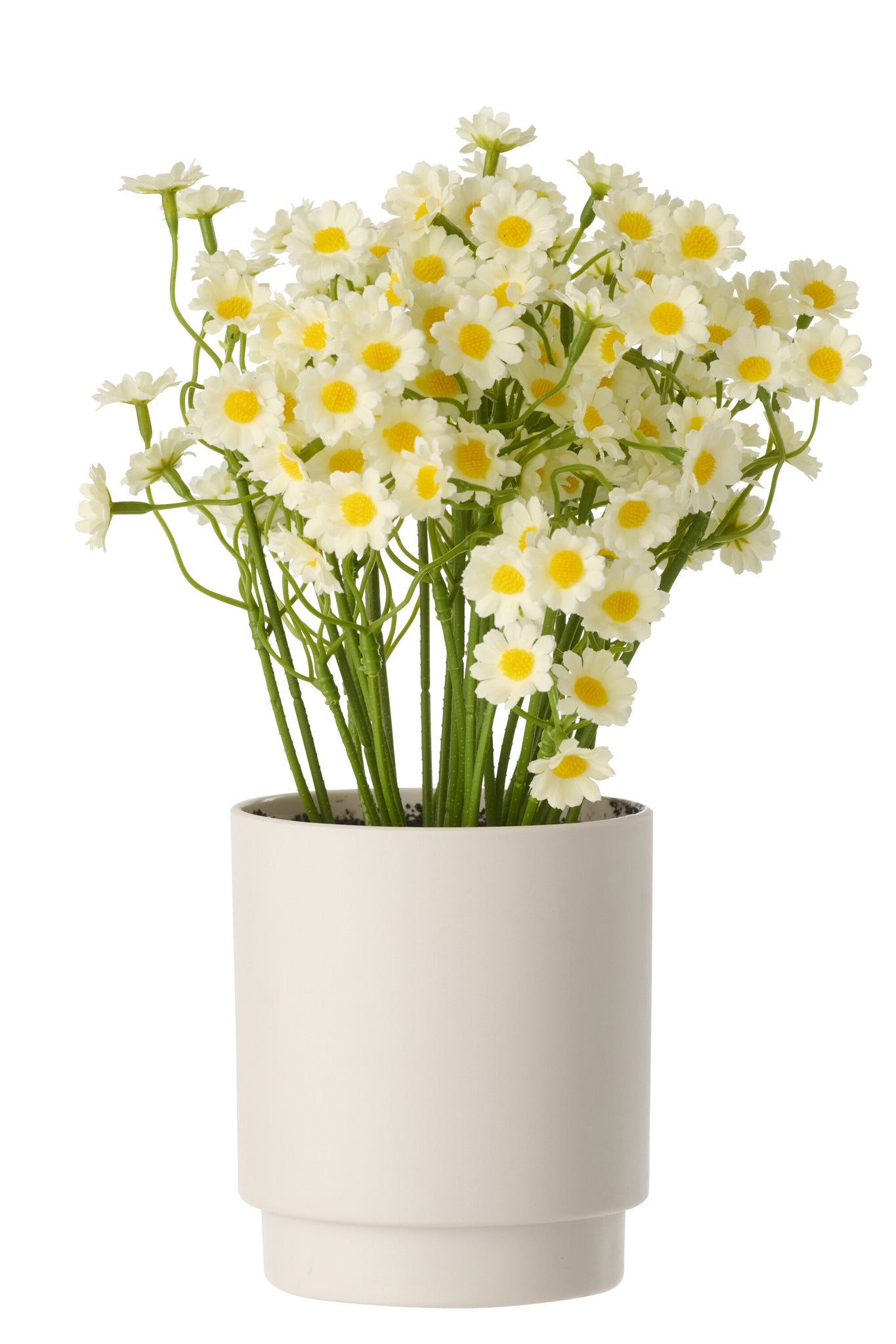 Daisy Pvc Yellow - Tuincentrum Lopik