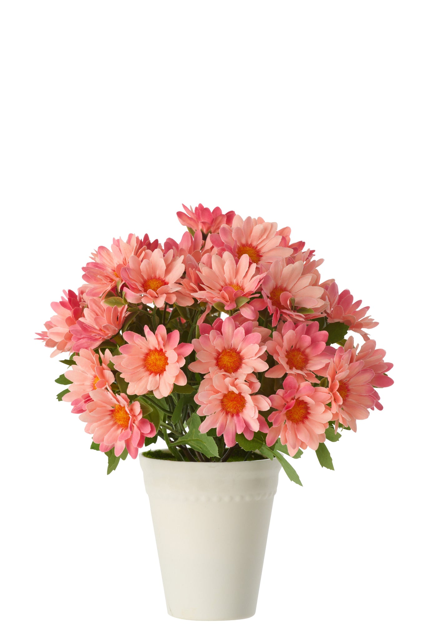 Daisy Pvc Light Pink - Tuincentrum Lopik