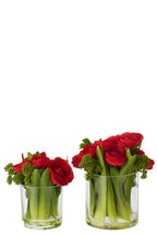 Ranunculus In Vase Fabric Red/Transparent Large - Tuincentrum Lopik