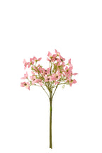 Bundle Of 3 Dogwood Textile Light Pink - Tuincentrum Lopik