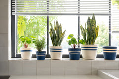 J-LINE BLOEMPOT GESTREEPT PAPIER WIT/DONKERBLAUW - MEDIUM - SET VAN 2 - Tuincentrum Lopik