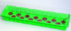 Jeanne: 36x22x13cm met 15 zweltabletten