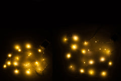 Giftbox 2 Christmas Lights Wire Gold/Silver 20Led Warm White Battery - Tuincentrum Lopik