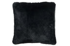 Kussen Cutie Polyester Zwart - Tuincentrum Lopik