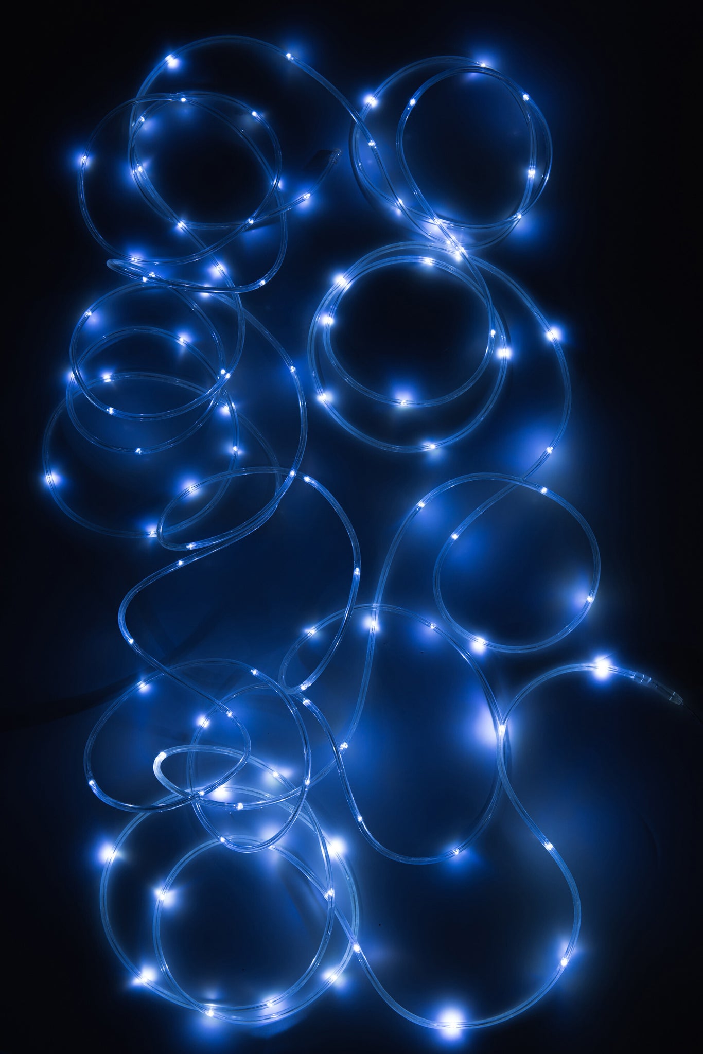 Christmas Lights 10M In/Outdoor White Plastic - Tuincentrum Lopik