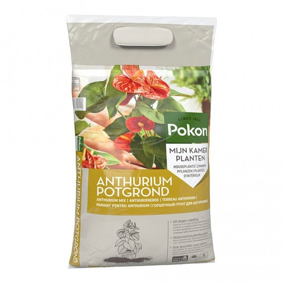 ANTHURIUM GROND 5 LITER