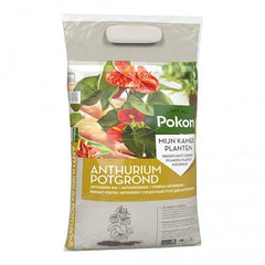 ANTHURIUM GROND 5 LITER