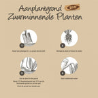 AANPLANTGROND ZUURMINNENDE PLANTEN 30 LITER