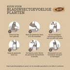 BIO PLANTKUUR BLADINSECTGEVOELIGE PLANTEN 500 ML