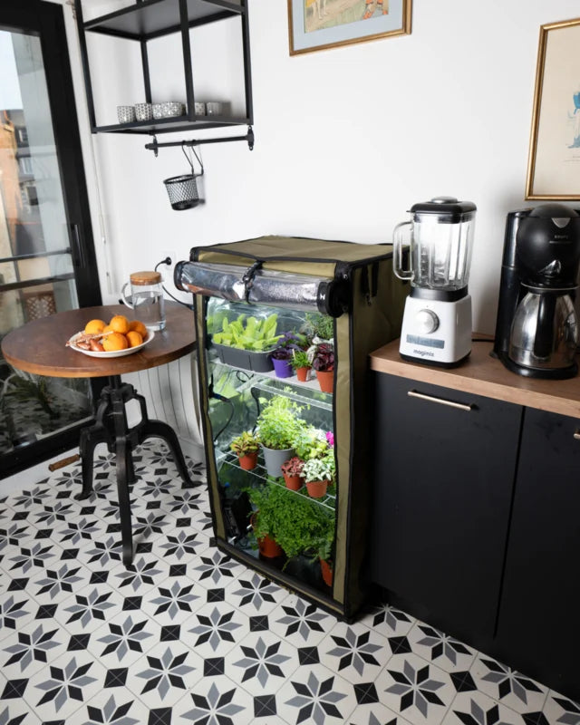 SECRET JARDIN GR60 THE ORIGINAL 60 COMPLETE KWEEKTENT SET MET 60 WATT VERLICHTING, CIRCULATIE EN AFZUIGING 60 X 40 X 116 CM