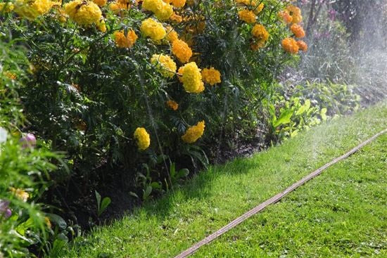  SPROEIERSLANG BRUIN 15 METER