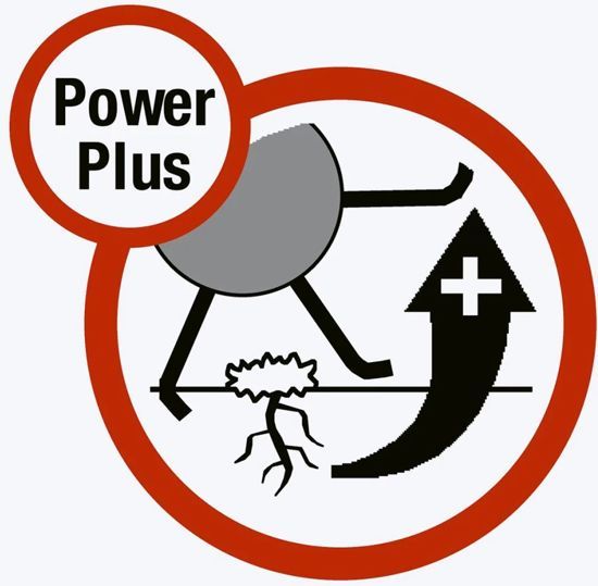  ELECTRISCHE GAZONBELUCHTER ES 500