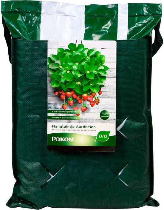 BIO HANGTUINTJE AARDBEIEN 10 LITER