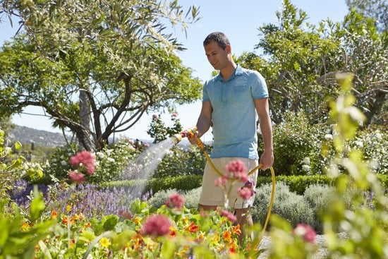  ULTRA TWIST GAZONSPROEIER