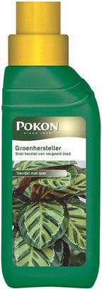 GROENHERSTELLER 250 ML