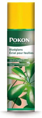  BLADGLANS 600 ML