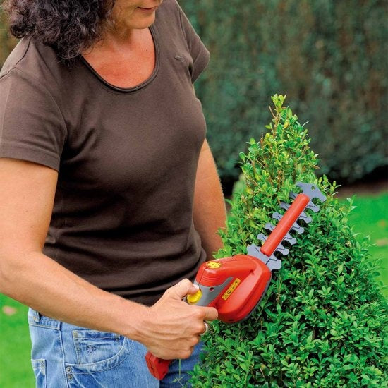  LI-ION POWER FINESSE 50 ACCU 2-IN-1 SET GRAS EN BUXUSSCHAAR