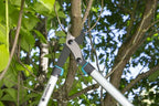 ENERGYCUT 750 B TAKKENSCHAAR