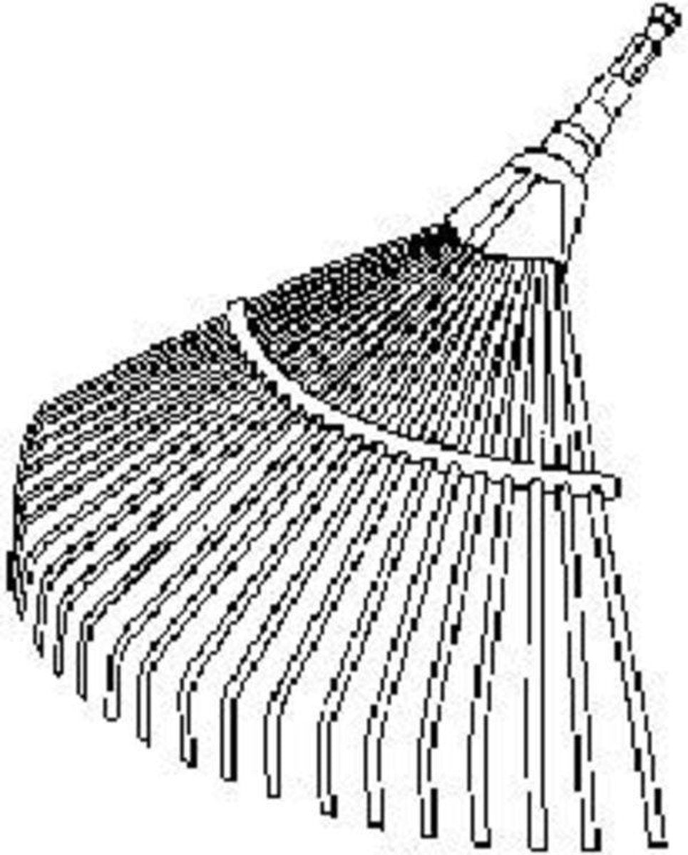 Bladhark 50 cm