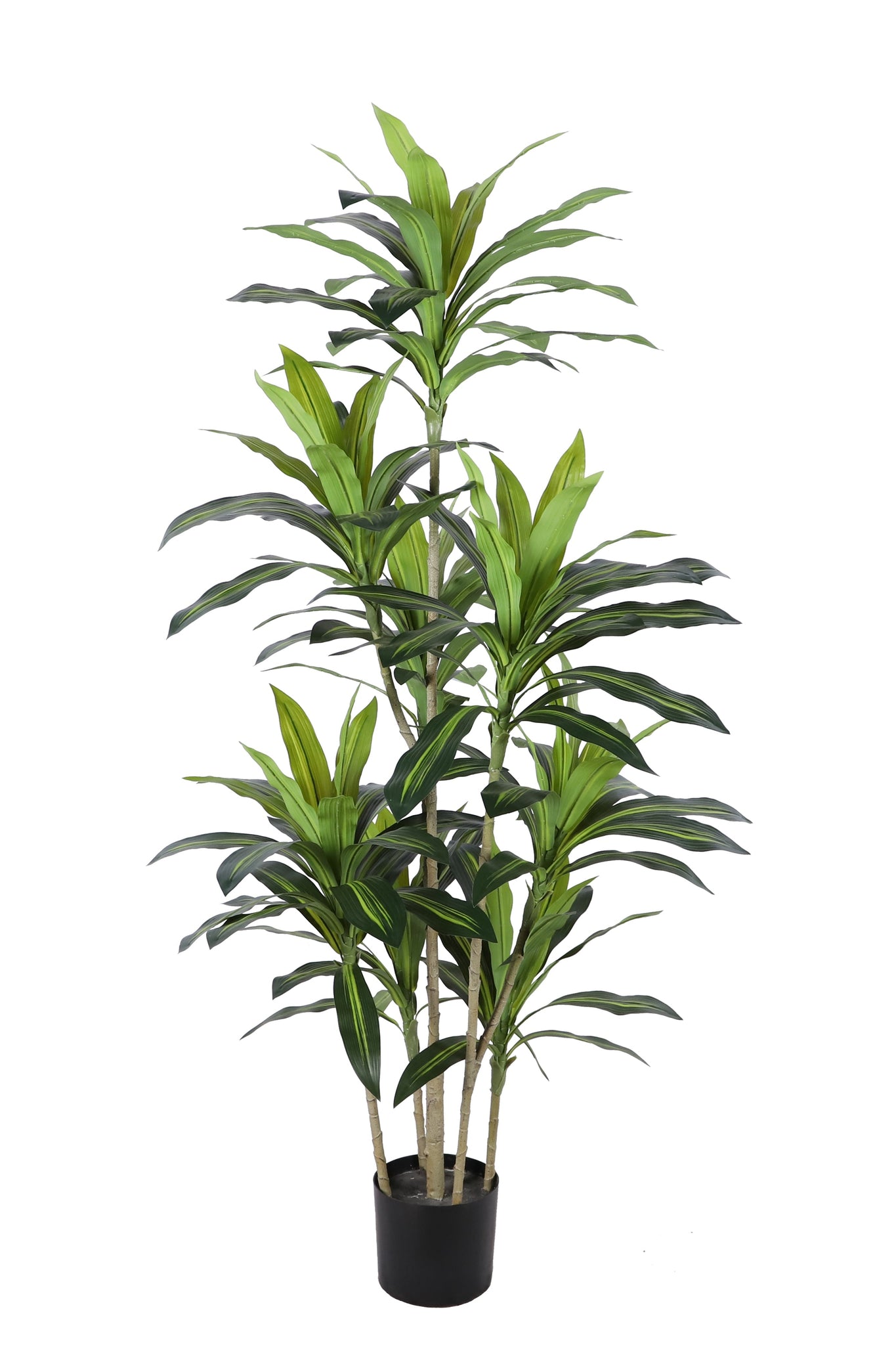 NEVERLEAFS AGAVE KUNSTPLANT DELUXE 170 CM