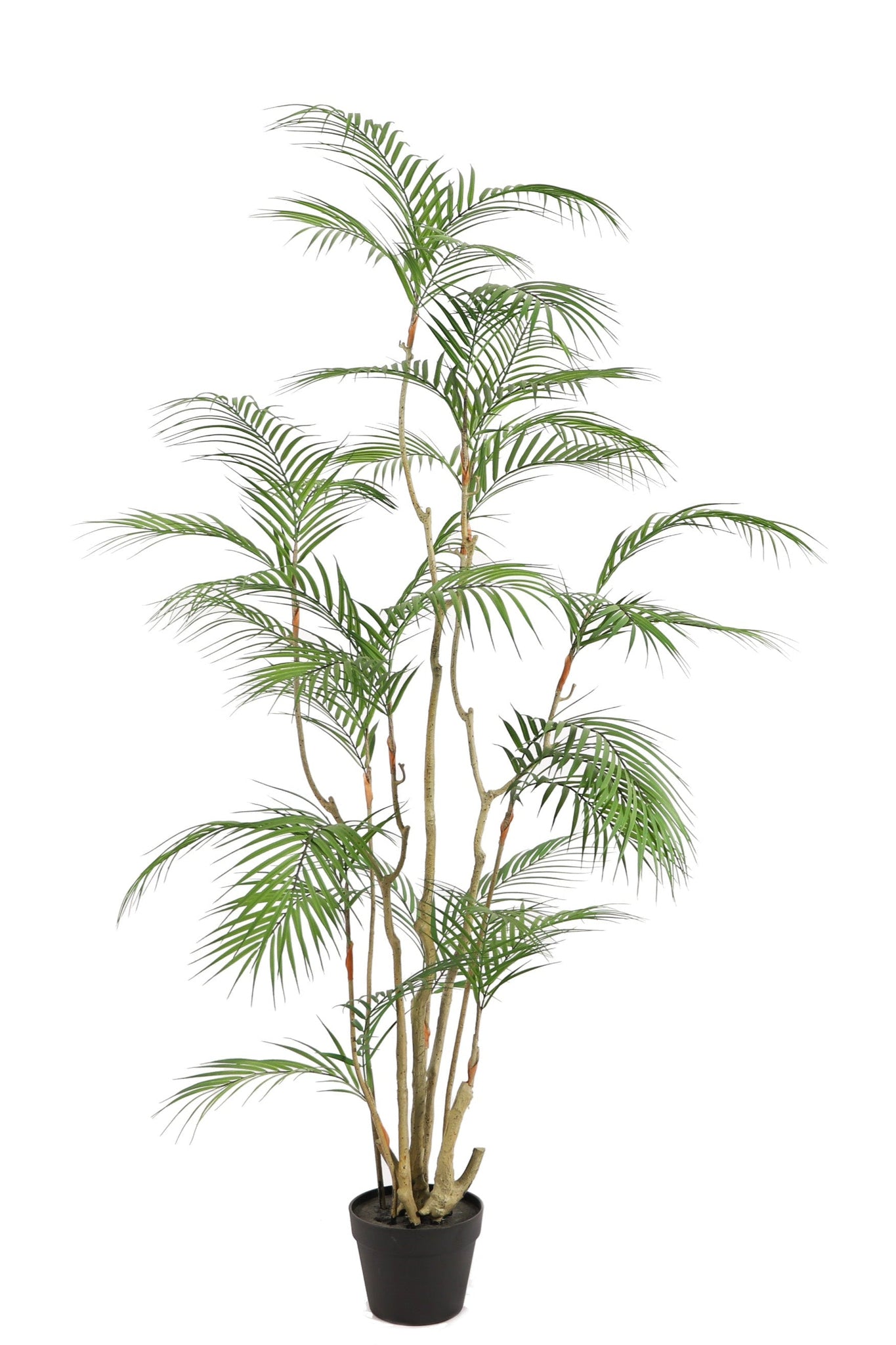 NEVERLEAFS KUNSTPLANT ARECA PALM TROPISCH 160 CM