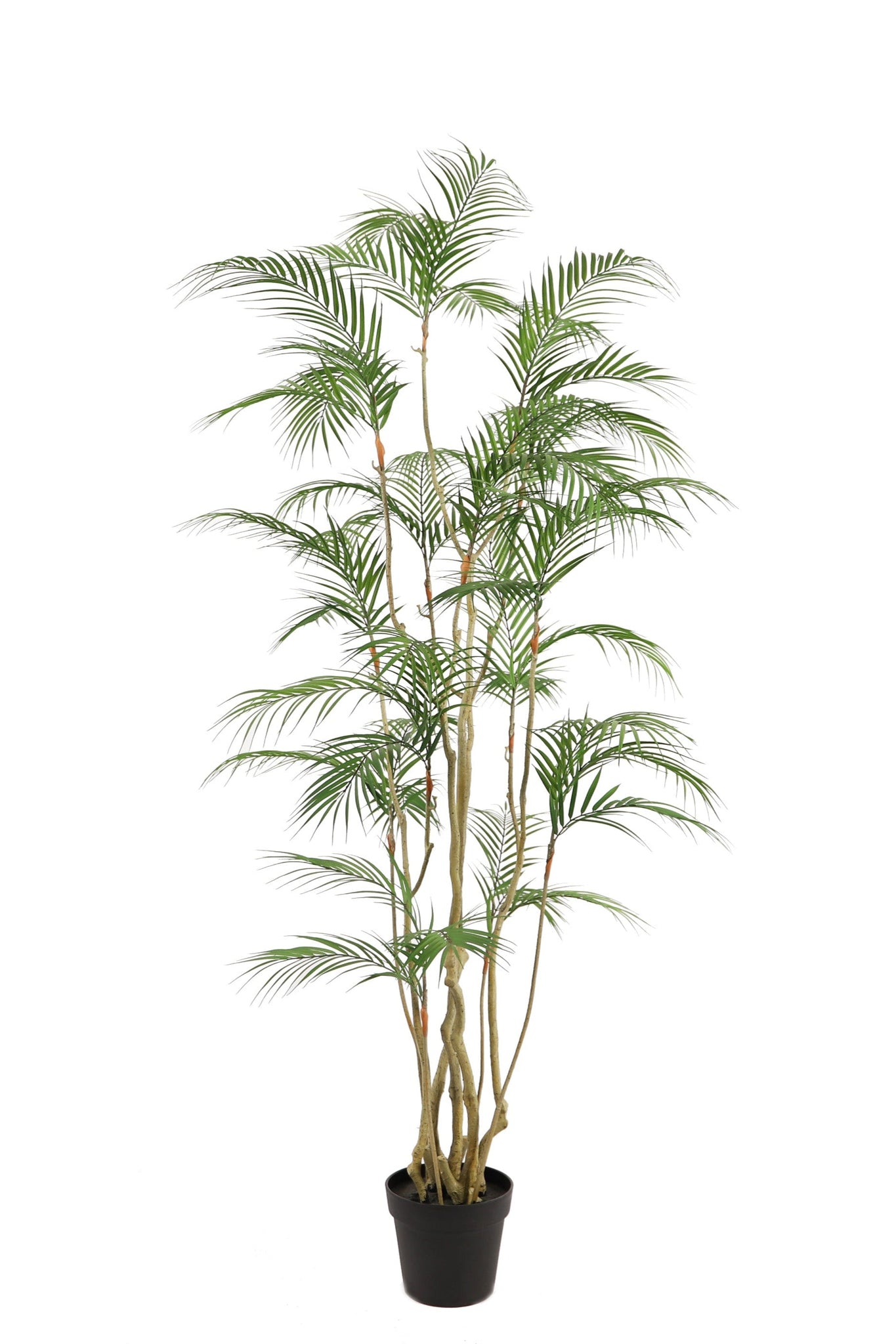 NEVERLEAFS TROPISCHE ARECA PALM KUNSTPLANT 180 CM
