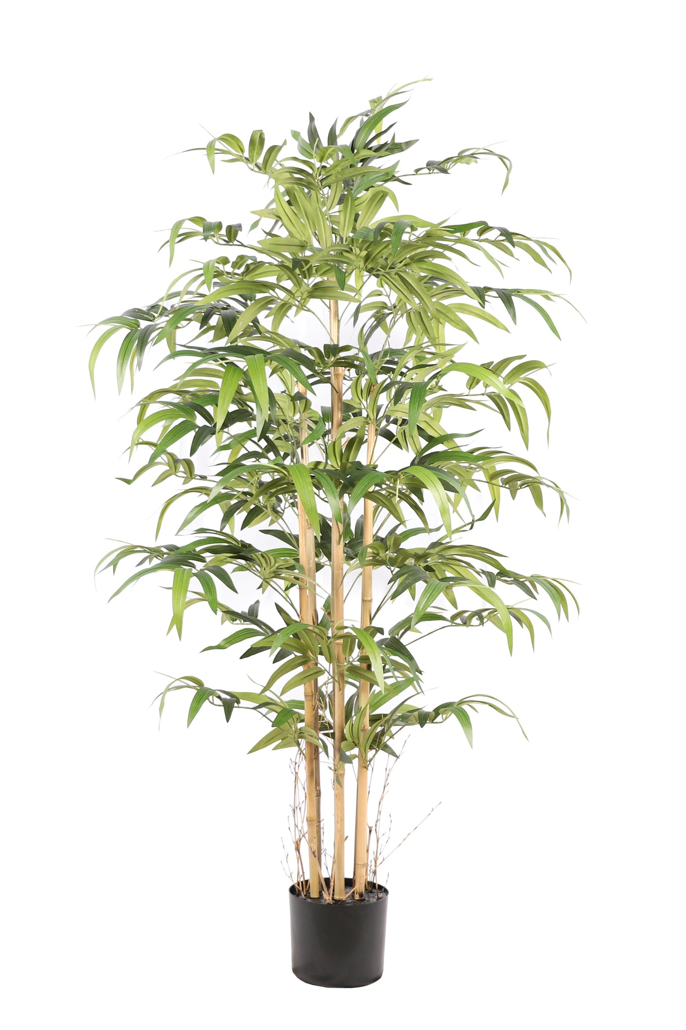 NEVERLEAFS BAMBOE JAPANESE KUNSTPLANT 160CM