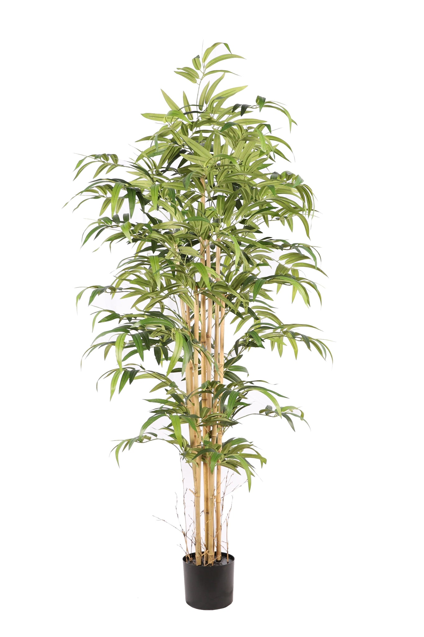 NEVERLEAFS BAMBOE JAPANESE KUNSTPLANT 180CM